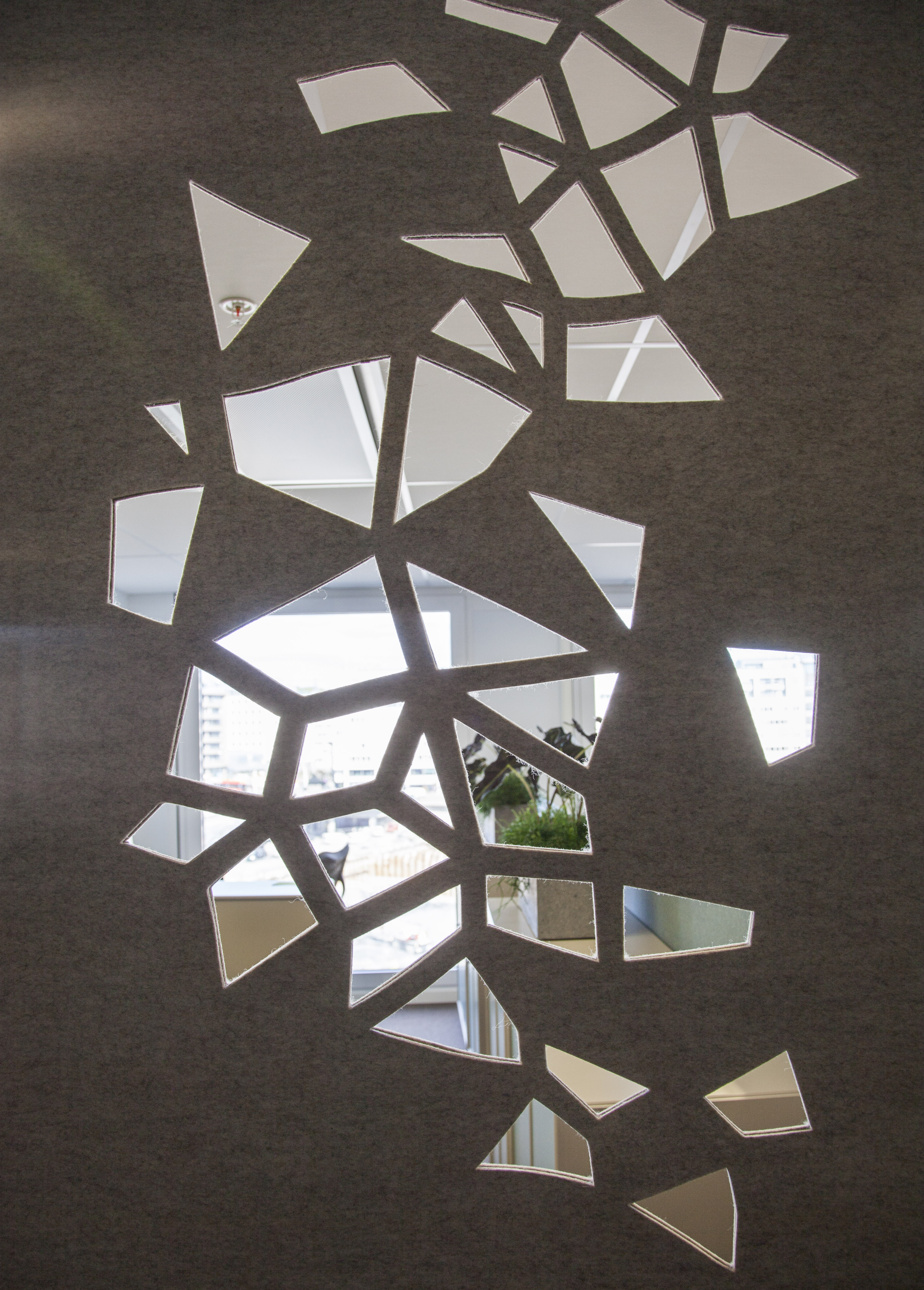 afskærmning med Fraster filt på kontor